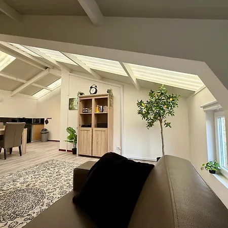 Holiday Home Vijfhuizen *