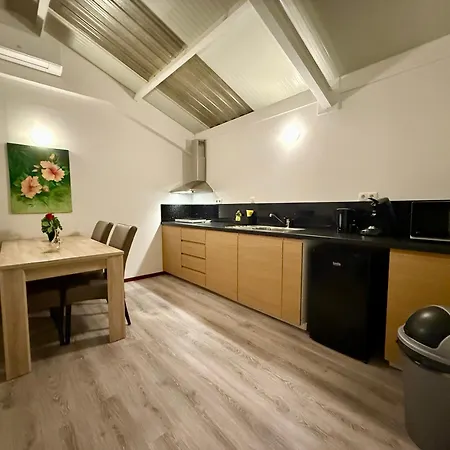 Апартаменты Holiday Home Vijfhuizen Vijfhuizen